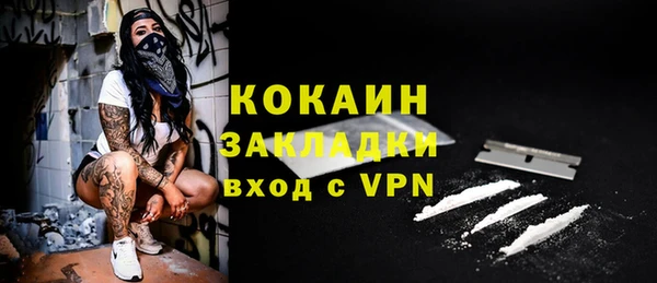 apvp Вяземский