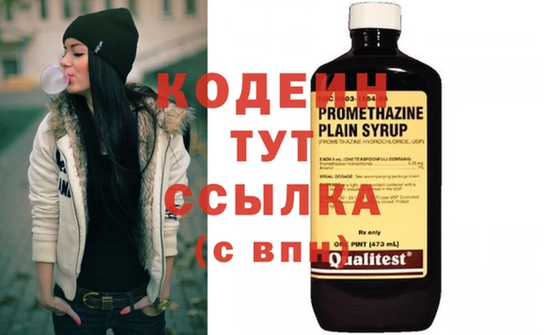 apvp Вяземский