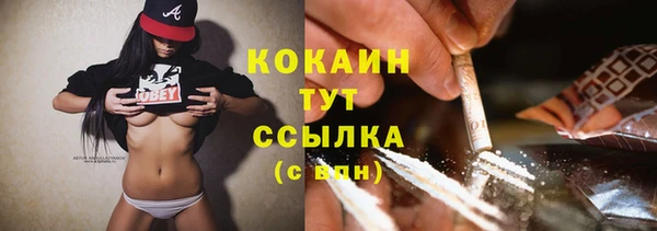 apvp Вяземский