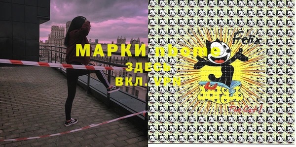 apvp Вяземский