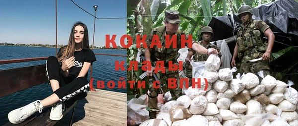 apvp Вяземский