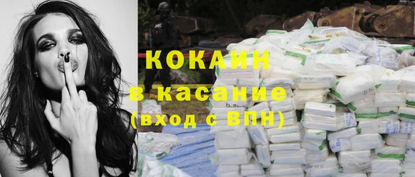 apvp Вяземский