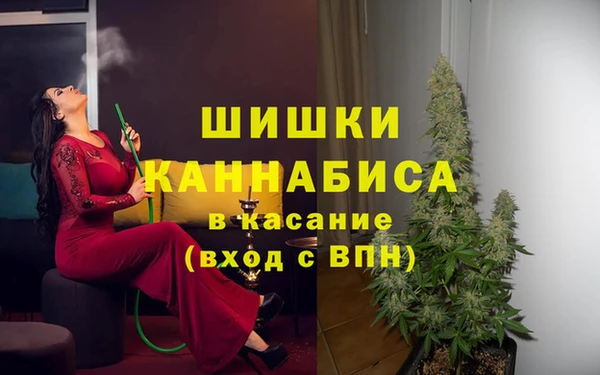 apvp Вяземский