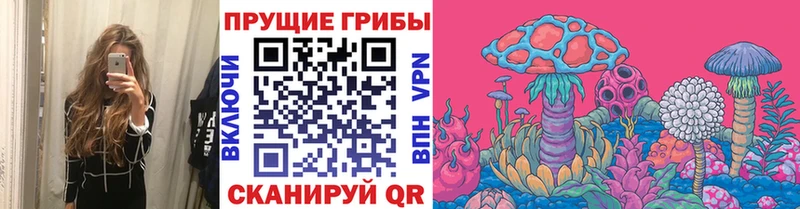 Псилоцибиновые грибы Psilocybe  Оханск 